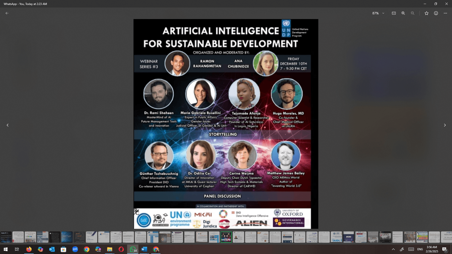 UNDP — AI Ethics Programme Partner